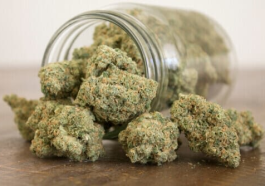 The Dopest Shop: Elevate your cannabis journey with curated products from experts.