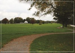 An expansive green field with a winding path and trees under a cloudy sky.