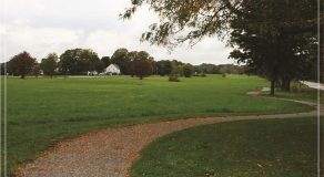 An expansive green field with a winding path and trees under a cloudy sky.